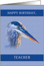 Birthday, Teacher, Great Blue Heron card