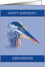 Birthday, Grandson, Great Blue Heron card