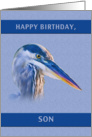 Birthday, Son, Great Blue Heron card