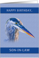 Birthday, Son-in-law, Great Blue Heron card