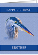 Birthday, Brother, Great Blue Heron card