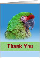 Thank You, Green Parrot card