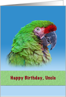 Birthday, Uncle, Green Parrot card