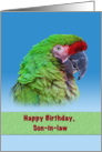 Birthday, Son-in-law, Green Parrot card