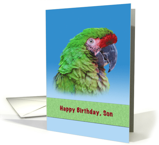 Birthday, Son, Green Parrot card (780918)