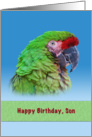 Birthday, Son, Green Parrot card