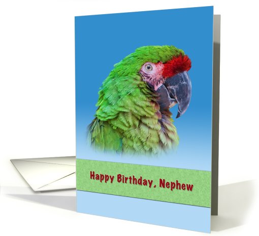 Birthday, Nephew, Green Parrot card (780919)