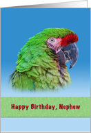 Birthday, Nephew, Green Parrot card