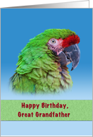 Birthday, Great Grandfather, Green Parrot card