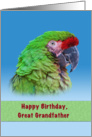 Birthday, Great Grandfather, Green Parrot card