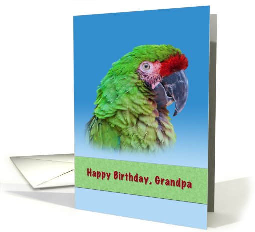 Birthday, Grandpa, Green Parrot card (780921)