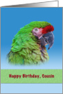 Birthday, Cousin, Green Parrot card