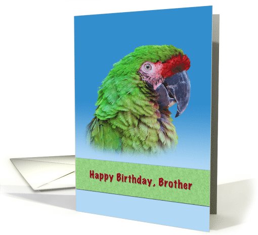 Birthday, Brother, Green Parrot card (780926)