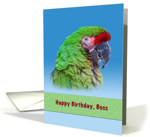 Birthday, Boss, Green Parrot card (780928)