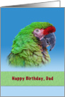 Birthday, Dad, Green Parrot card