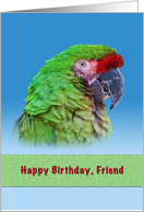 Birthday, Friend, Green Parrot card