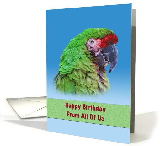Birthday, From All of Us, Green Parrot card (780931)