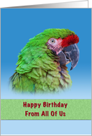 Birthday, From All of Us, Green Parrot card