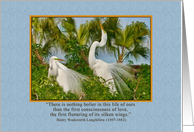 Love and Romance, Two Great Egret Birds card