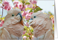 Two Parrots and Crab Apple Blossoms card