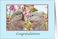 Congratulations, Commitment Ceremony, Parrots and Crab Apple Blossoms card