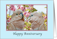 Anniversary, Wedding, Parrots and Crab Apple Blossoms card