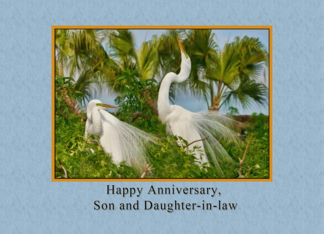 Anniversary, Son and...