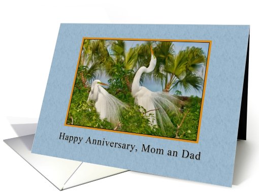 Anniversary, Parents, Great Egret Birds card (790918)
