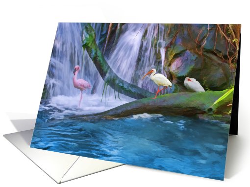 Tropical Waterfall Note Card with Flamingos and Ibises card (795256)