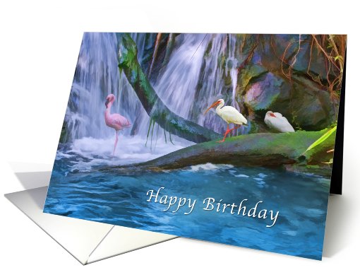 Birthday, Tropical Waterfall with Flamingos and Ibises card (795257)