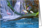 Birthday, Tropical Waterfall with Flamingos and Ibises card