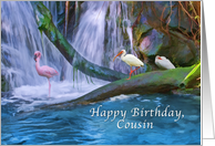 Birthday, Cousin,...