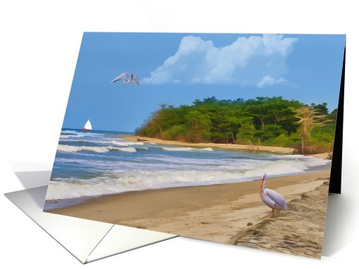 Tropical Beach, Sailboat, Birds Blank card (797228)