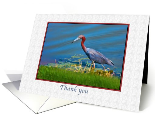 Thank You, Little Blue Heron card (797812)