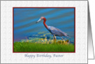 Birthday, Pastor, Little Blue Heron card