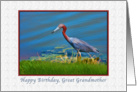 Birthday, Great Grandmother, Little Blue Heron card
