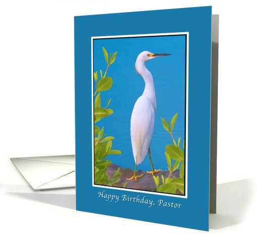 Birthday, Pastor, Snowy Egret card (798158)