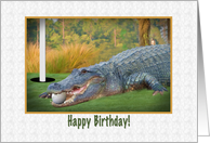Birthday, Golfer, Alligator card