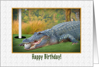 Birthday, Golfer,...