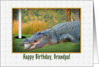 Birthday, Grandpa, Golfer, Alligator card