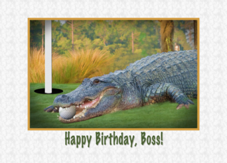 Birthday, Boss, Golf, Alligator