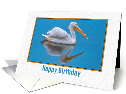 Birthday, White Pelican, Reflections card (804928)