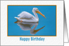 Birthday, White Pelican, Reflections card
