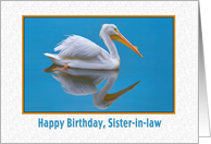 Birthday, Sister-in-law, White Pelican card