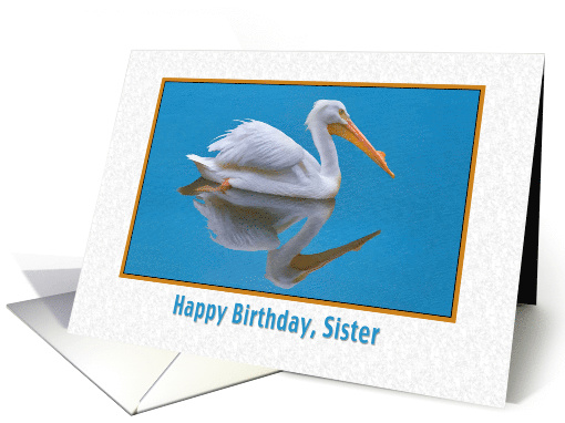 Birthday, Sister, White Pelican card (806763)