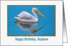 Birthday, Nephew, White Pelican card