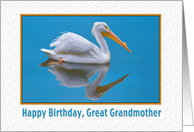 Birthday, Great Grandmother, White Pelican card