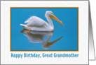 Birthday, Great Grandmother, White Pelican card