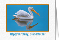 Birthday, Grandmother, White Pelican card