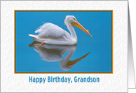 Birthday, Grandson, White Pelican card